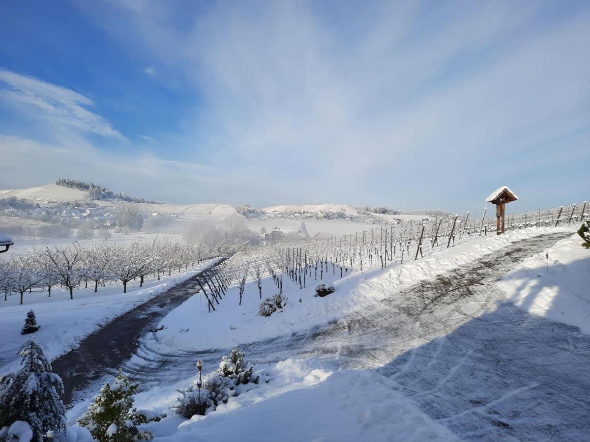Ferienwohnung Am Weinberg Oberkirch  Exteriér fotografie